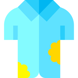 Shirt icon