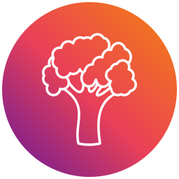 Broccoli icon