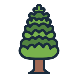 Pine tree icon