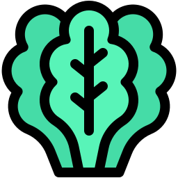 Spinach icon