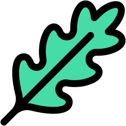 Arugula icon