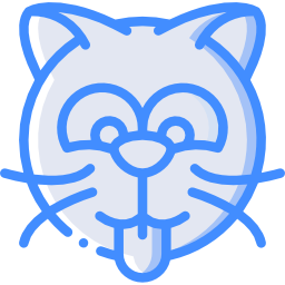 Cat icon