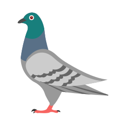 pombo Ícone