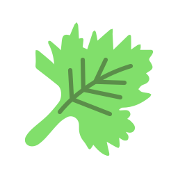 Coriander icon