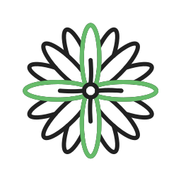 chrysantheme icon