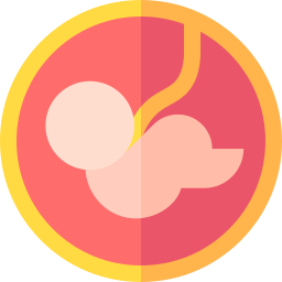 Embryo icon