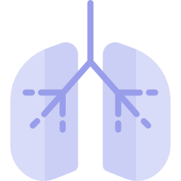 polmoni icona