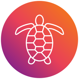 Turtle icon