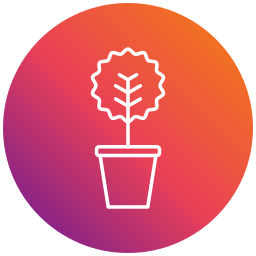 Myrtus icon