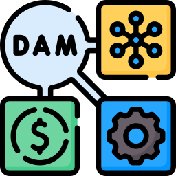 Digital asset management icon