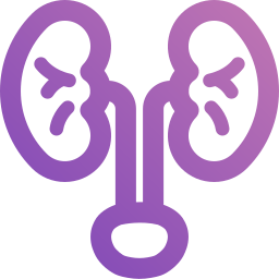 Kidney icon