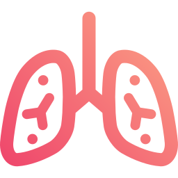 Lungs icon