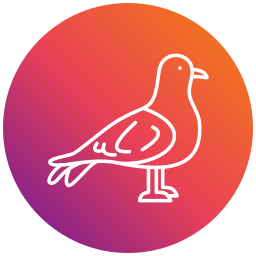 möwe icon