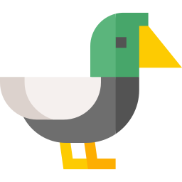 pato Ícone