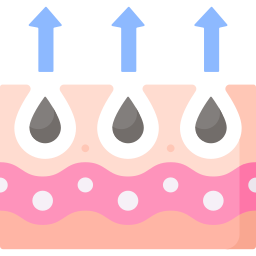 pore Icône