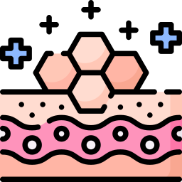 régénération cutanée Icône