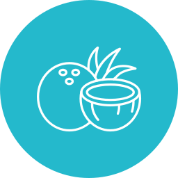 Coconut icon