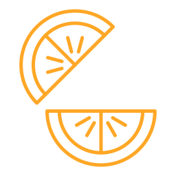 Orange slice icon