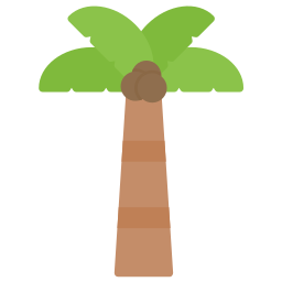 Coconut tree icon