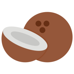 Coconut icon