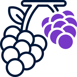 Grape icon