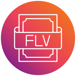 flv icon