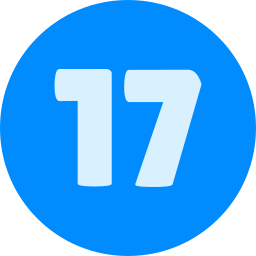 17 icon