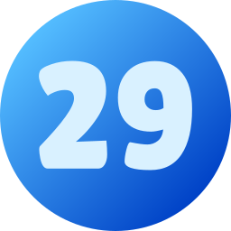 29 icon