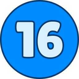 16 icoon