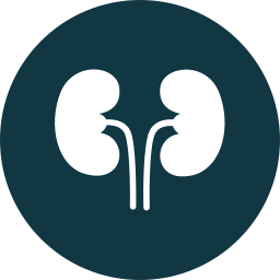 Kidneys icon