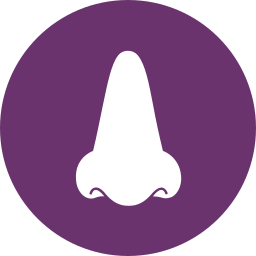 Nose icon