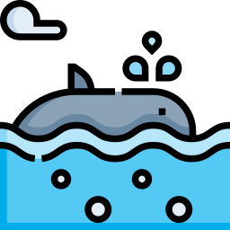 Whale icon