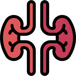 Kidney icon