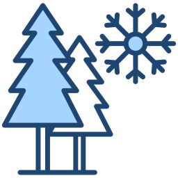 winter icon