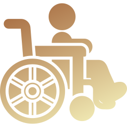 Wheelchair icon