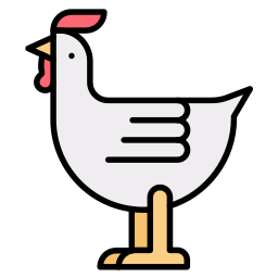 Chicken icon