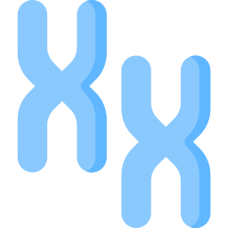 Chromosome icon