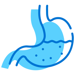 Stomach icon