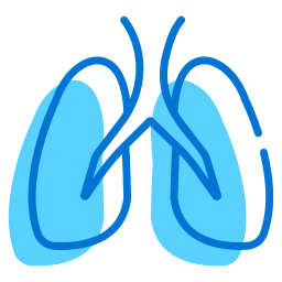 Lungs icon