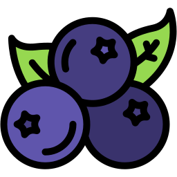 Blueberry icon