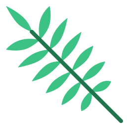 Tropical leaf icon