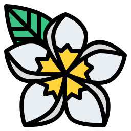 Plumeria icon