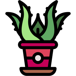 aloe vera icon