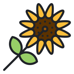 Sunflower icon