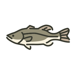 fisch icon