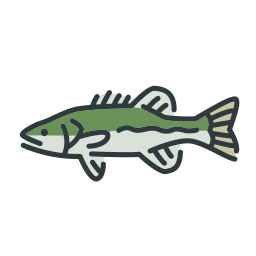 fisch icon