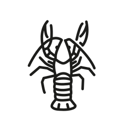 Crawfish icon