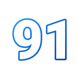 91 Ícone