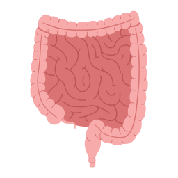 organe Icône