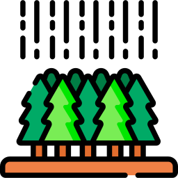 forêt Icône